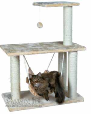 Trixie Morella kačių stovas su drąskyklė, hamaku, žaisliuku 96 cm smėlinis
