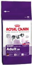 Royal Canin GIANT Adult 28 15 kg. visavertis maistas giant veislių šunims nuo 18-24 mėnesių ir vyresniems