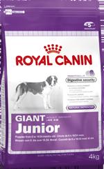 Royal Canin GIANT Junior 31 15 kg. visavertis šunų maistas giant veislių šuniukams nuo 8 iki 18/24 mėnesių