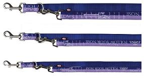 Pavadis „Follow your nose“ nailoninis, mėlynas/violetinis 2 m/15 mm (XS-S)