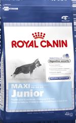 Royal Canin Maxi junior 32 4 kg visavertis šunų maistas didžiųjų veislių šuniukams